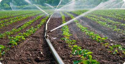 Banner Başlık Alanı